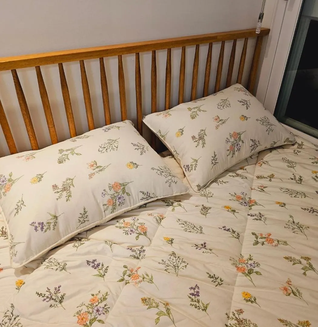 Yeongdeungpo Full Options House Apartment Seoul